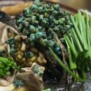 장수골다슬기 이미지