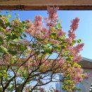 국제대로 이미지