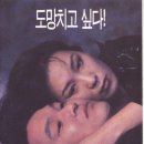 초록물고기 - 창녕군 문화길 18 | 초록물고기