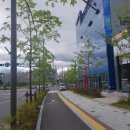 닥끌리네 이미지