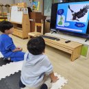 봉오초병설유치원 이미지