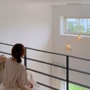 스테이 사이 이미지