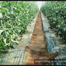 햇빛촌 농원 이미지