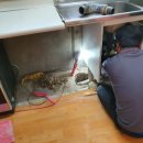 보라매동-7 이미지