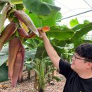 심경농원 이미지
