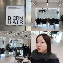 로데미용실 - 고양시 덕양구 호국로790번길 30 | 압구정로데오 미용실 비오른헤어 압구정로데오점 일호 디자이너님 뿌리매직 후기