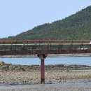 팔도강산 이미지