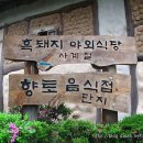 가산토방 티스토리