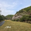 하너미로 | 오랜만에 센테리움CC에 다녀왔어요