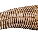 국립과천과학관 이미지