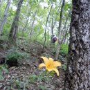 운리마을 이미지