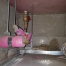 서면쌍용플래티넘 이미지