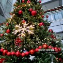 몽더가든