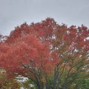 [북부] 해설이있는클래식 이미지