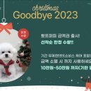 뽀프퍼피(POFF PUPPY) 이미지