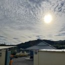 노란담장 이미지