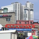 속초 수산시장 대게 / 대포항 꽃새우, 쥐치회 / 라마다호텔