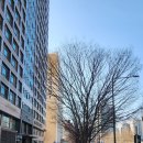 애오개역 3번 출구 앞 이미지