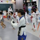 체형교정 태권도 이미지