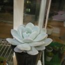 묵지농장 이미지