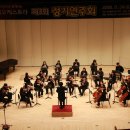 첼로 중급(성인) 이미지