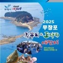 봄철 미식 여행! 무창포 주꾸미,도다리 대잔치 ( ft. 무창포 해수욕장 )