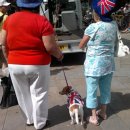 매일엘피지 이미지