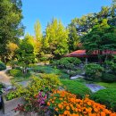 동래구 장애인협회 | 부산 금정구 가볼만한 곳, 동래 금강공원 옆 오랜역사를 가진 &#34;금강 식물원&#34; 나들이 산책 한바퀴!