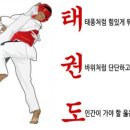 우리나라 태권도 이미지