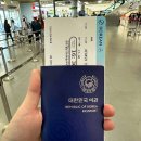 부산대한여행사주 | [다낭여행] 대한항공 부산 - 다낭 이코노미 후기 / 새벽 비행 솔직 리뷰