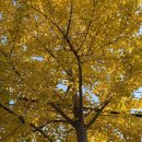 GS25포항우방점 이미지