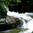 위드홍지민 이미지