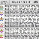 2023년 3월 16일 운세 및 세상 소식 이미지