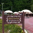 광교산생태학교 Daum카페