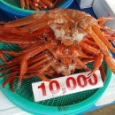 수진호