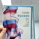 아리따움중랑 | 사가정왁싱 브라질리언왁싱 탸가 그린 눈썹왁싱 만족 후기