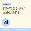 원종동물병원 네이버블로그