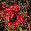 연세남대문치과의원 이미지