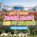 오늘이 펜션 & 호스텔 | 에버랜드 숙박 예약 할인 가성비 펜션