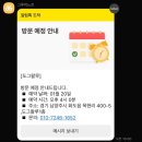 댕댕미용실 / 도그마캣 | [도그왈루] 애견미용실 방문 후기