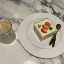 올리코(all RICO) 이미지