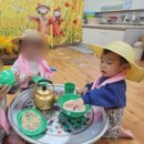 여행트리