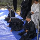 대계사 Daum카페