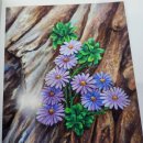 달홀문화센터(1층) 이미지