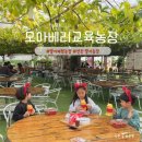 서울근교 딸기체험 모아베리교육농장 경기도 연천 아이랑 가볼만한곳