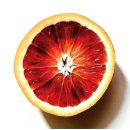 오렌지반점 이미지