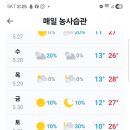 시원 이미지