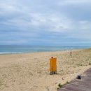 망상오토캠핑리조트 이미지