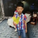 소리동화<부케티노> 이미지