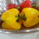 영민목장 이미지